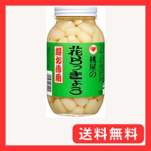 桃屋 花らっきょう 超お徳用 580gラッキョウ 小粒 福神漬 漬物 漬け物 カレー つまみ