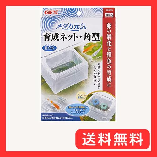 ジェックス GEX メダカ元気 育成ネット角型 隔離用ケース卵・生まれたての稚魚用
