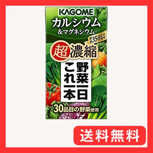 野菜一日これ一本 カゴメ 超濃縮 カルシウム&amp;マグネシウム 125ml紙パック×24本