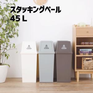 ゴミ箱 スリム 日本製 蓋付き スタッキングペール45L ミニキャスター付 ダストボックス メーカー直送品 代引/同梱/返品不可 個別送料計算 LFS-761｜goodlifeshop