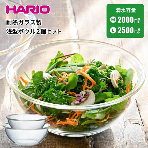 日本製 HARIO 耐熱ガラス製浅型ボウル 2個セット 満水容量 2,000ml・2,500ml 耐...