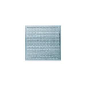【今季完売】BBQ 網 SS 300×300 バ...の商品画像