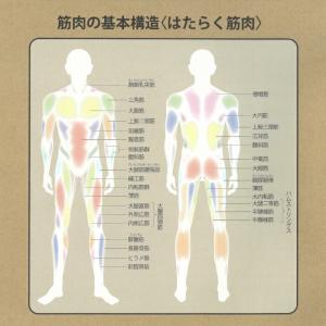 キャプテンスタッグ vit Fit エクササイ...の詳細画像3