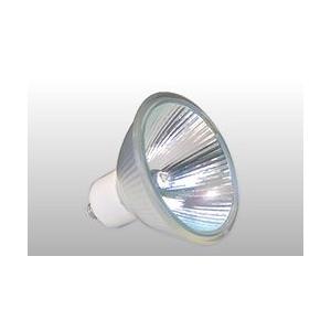 TOSHIBA（東芝） LEDS88900(K) LEDアウトドアブラケット（ランプ