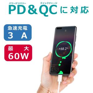 USB-C to Type-C PD 充電ケー...の詳細画像2