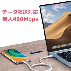 USB-C to Type-C PD 充電ケー...の詳細画像3