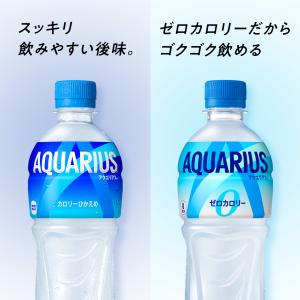 アクエリアス ゼロ ペットボトル 500ml ...の詳細画像4
