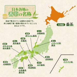 ●+10%対象●コカコーラ 綾鷹 番茶 48本...の詳細画像2
