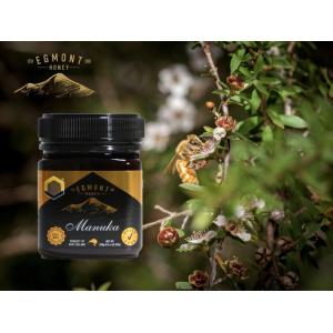 【お得な2個セット】レモン＆ハニー クローバー はちみつ 99％ 天然 ビタミンC ミネラル 必須ア...