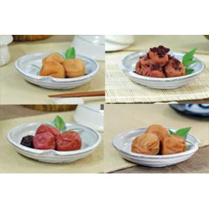 【塩 アソート3種】シーソルト フレーク 100g ファイングレー ソルト 250g レッドガム ス...