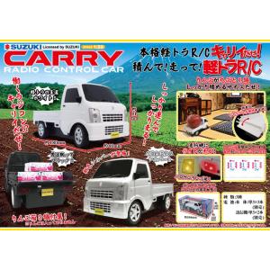 1/18 ポルシェ 356 SL #153 カレラ パナメリカーナ 1953 Amazon.co.jp: WERK83 1/18 ポルシェ 356 SL #153 カレラ