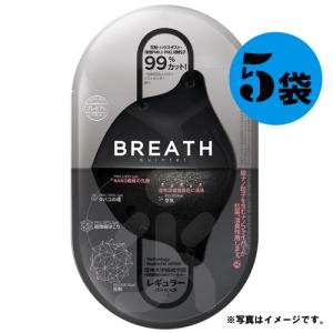 目玉商品 BREATH SILVER QUINTET MASK ブレスマスク レギュラーブラック5袋（1袋×2枚入・10枚）PM0.1〜PM2.5対応 ナノマスク ウイルス対策