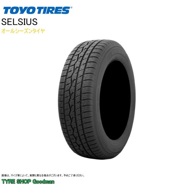 トーヨー オールシーズン 165/60R15 77H セルシアス (サマータイヤ)(15インチ)(1...