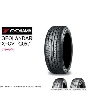 P ZERO 【送料無料】 ピレリ エレクト 235/45R20 100T XL MO PZ4