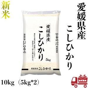 こしひかり 10kg 5kg×2 令和5年産 愛媛県産 米 お米 白米 おこめ 精米 単一原料米 ブランド米 10キロ 送料無料 国内産 国産