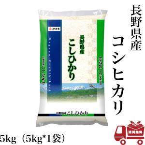 こしひかり 5kg 令和4年産 長野県産 米 お米 白米 おこめ 精米 単一原料米 ブランド米 5キロ 送料無料 国内産 国産