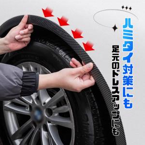【2点以上10%OFF】オーバーフェンダー 汎...の詳細画像3