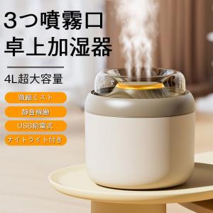 10本セット】【ホメオスタイル公認ストア】 スチーマー用炭酸純水 美顔