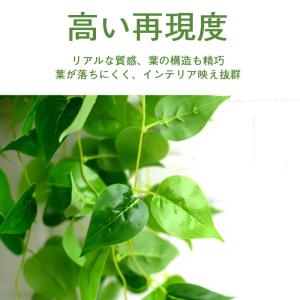 2点目500円OFF!フェイクグリーン 壁掛け...の詳細画像4