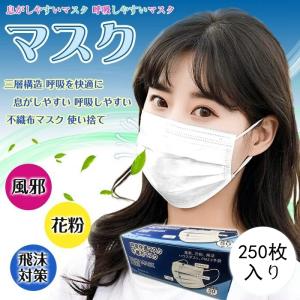 不織布マスク 【期間限定250枚ただ2380円】 在庫あり 当日発送 使い捨てマスク 白 ウィルス対策 防塵 花粉対策 飛沫対策 代引不可