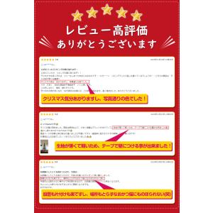 クリスマスツリー 即納 大判150×100cm...の詳細画像2