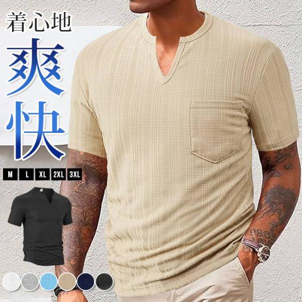 Tシャツ 半袖 トップス ヘンリーネック メンズ 夏 無地 通勤 Vネック ゴルフウェア フィットネ...