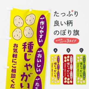 のぼり旗 種じゃがいもの商品画像