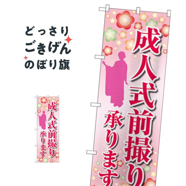 成人式前撮り のぼり旗 GNB-4061