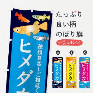 のぼり旗 ヒメダカ