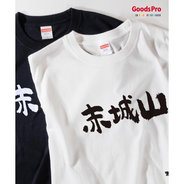 Tシャツ 赤城山・群馬 発汗性の良い快適素材 ドライTシャツ