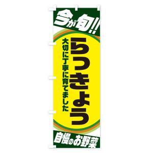 のぼり旗 らっきょうの詳細画像2