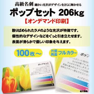 高級名刺　ポップセット206kg｜goods-pro