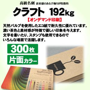 高級名刺　300枚　片面　クラフト192kg｜goods-pro