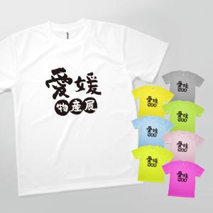 Tシャツ 愛媛物産展 発汗性の良い快適素材 ドライTシャツ｜goods-pro