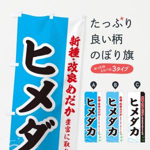 のぼり旗 ヒメダカ