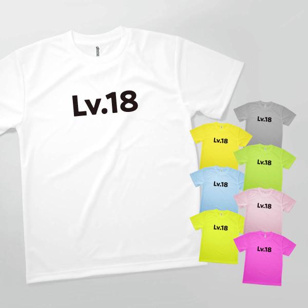 Tシャツ Lv.18 人生の経験値