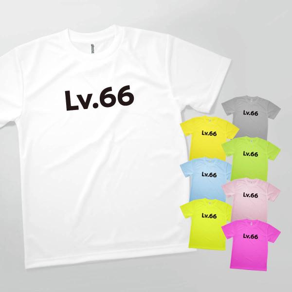 Tシャツ Lv.66 人生の経験値