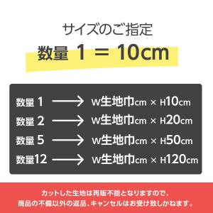 先染めデニム調 選べる3色の詳細画像5
