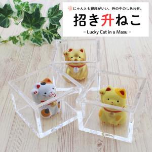 伊予結納センター 招き猫 招き升ねこ 約6×6...の詳細画像1