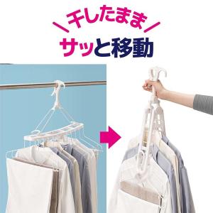 オーエ 洗濯ハンガー LS ワイヤー10連ハン...の詳細画像5