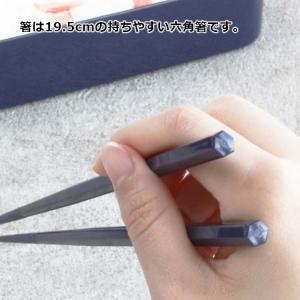 岩崎工業 箸箱 とっても強いケース入り19.5...の詳細画像2