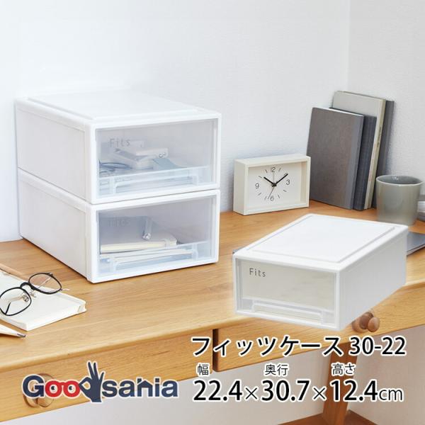 天馬 収納ケース フィッツケース 30-22 小物収納 約W22.4×D30.7×H12.4cm ホ...