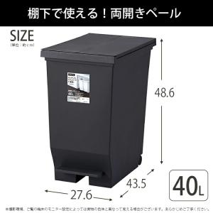 アスベル ゴミ箱 エバン 両開きペダルペール ...の詳細画像1