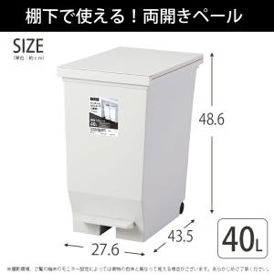 アスベル ゴミ箱 エバン両開きペダルペール 日...の詳細画像1