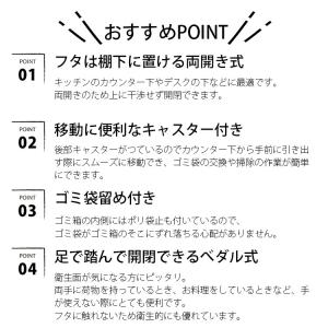アスベル ゴミ箱 エバン両開きペダルペール 日...の詳細画像2