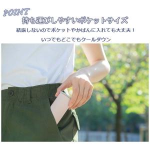 ピーコック魔法瓶 ミニアイスパックポケット(シ...の詳細画像2