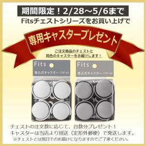 【期間限定! キャスター プレゼント 2/28...の詳細画像1