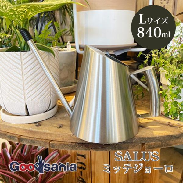 SALUS ジョウロ ミッテジョーロ L 840ml ステンレス製