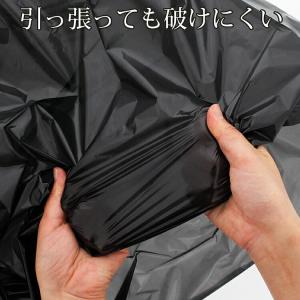 日泉ポリテック 消臭袋 ごみ袋 消臭ダストパッ...の詳細画像5