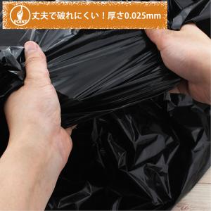日泉ポリテック ゴミ袋 ダストパック 日本製 ...の詳細画像2
